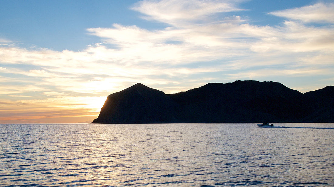 We Are One Ocean Revised – AFTCO's Take For the Fishing Community