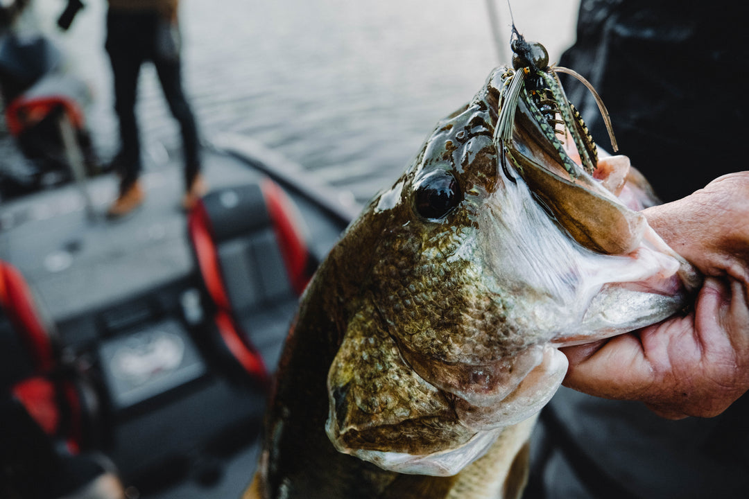 Beating The Baitcaster — Sweetwater Fishing Blog