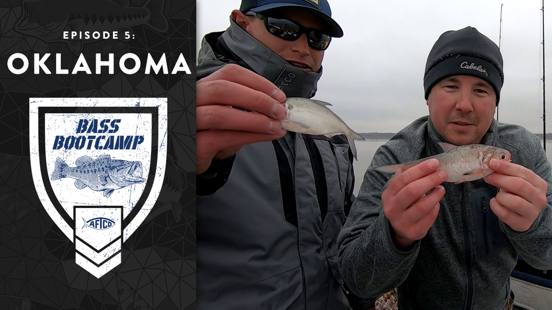 Oklahoma Mashup - Bass Boot Camp 2019: Ep. 5