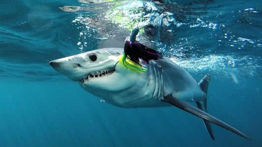 HRI’s Shark Researcher Tool