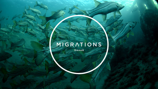 MIGRATIONS PART 2: SNOOK