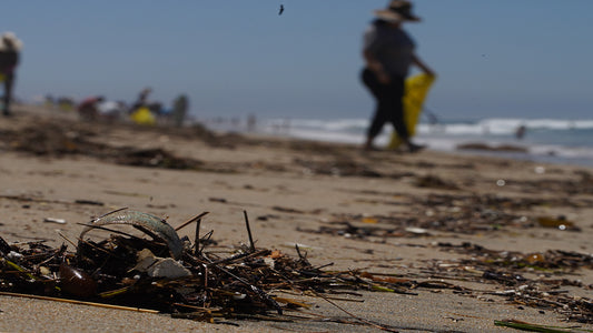 How Ocean Plastic Pollution Impacts Our Fishing Heritage