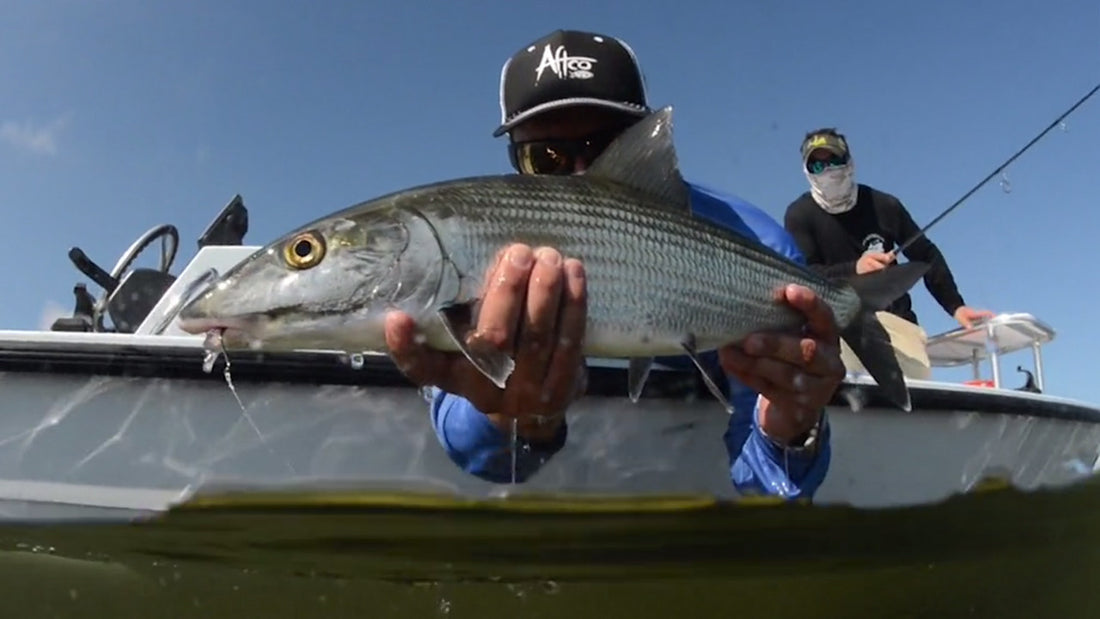 AFTCO Surface Tension Bonefish