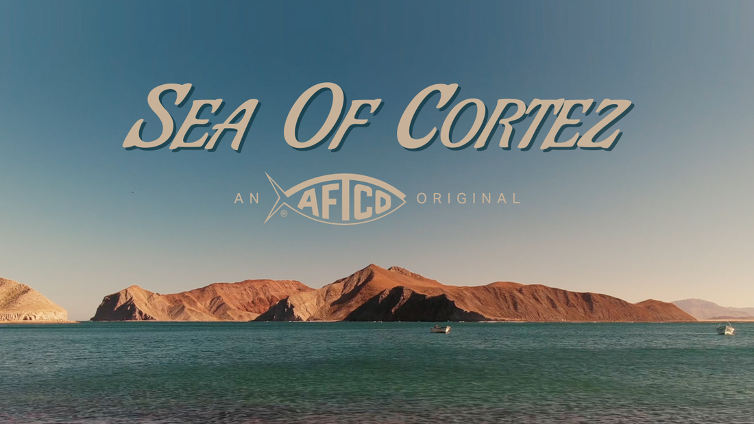 Sea of Cortez