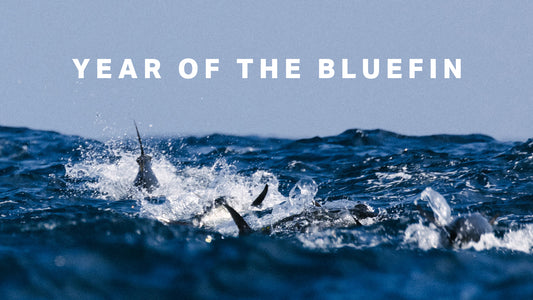 Folklore: Year of the Bluefin