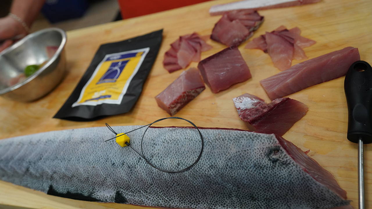 How to Fish for Tuna: The Complete Guide