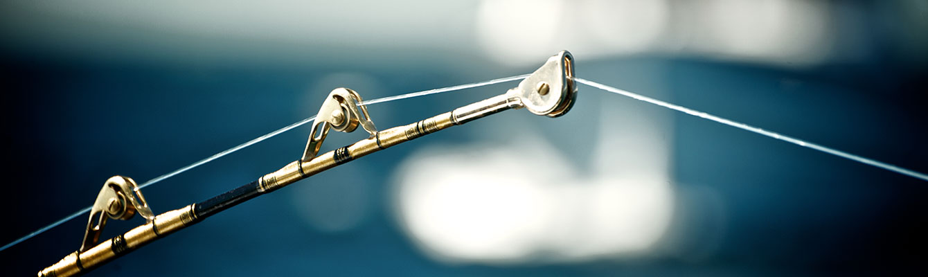 Fishing Rod Parts & Components