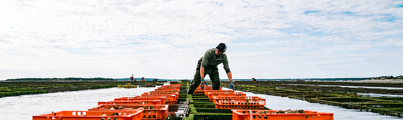 Ode to the Cape Styles