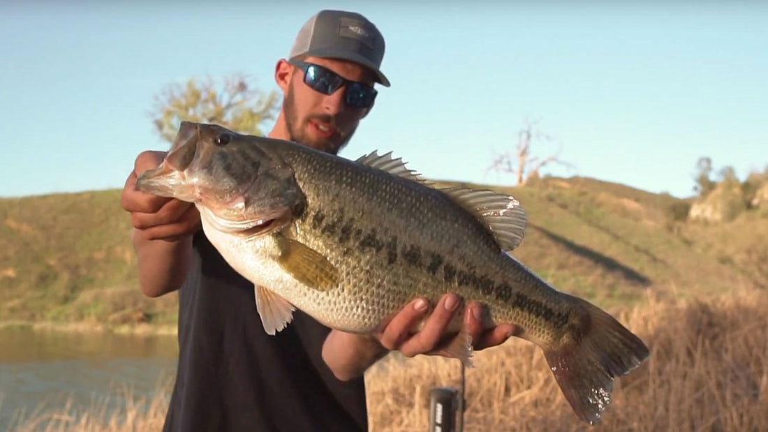BASS BOOT CAMP: Spring Giants + Spawn Tips Video