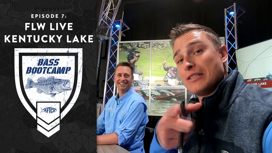 Flw live discount