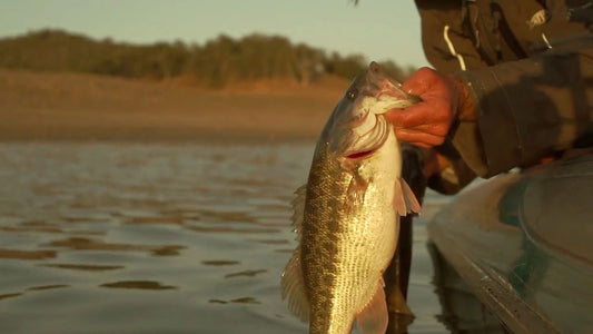 Bass Boot Camp: Wide Open Spotted Bass - Lake Nacimiento