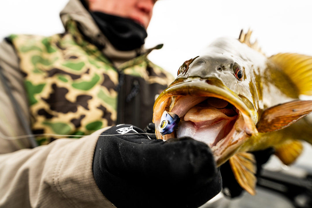 Top 5 Essential Lures for Bass Fishing Enthusiasts
