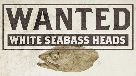 Wanted: White Seabass Heads for Fisheries Research