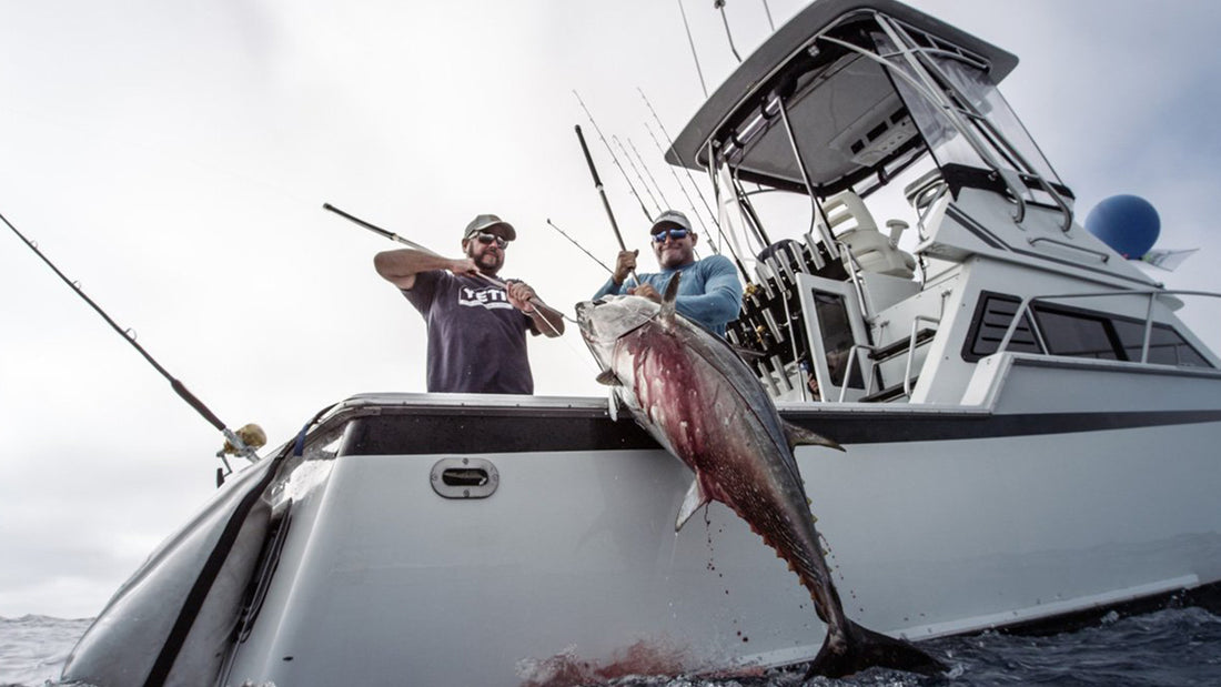 Boat-Shy Bluefin Tuna Fishing Off Southern California