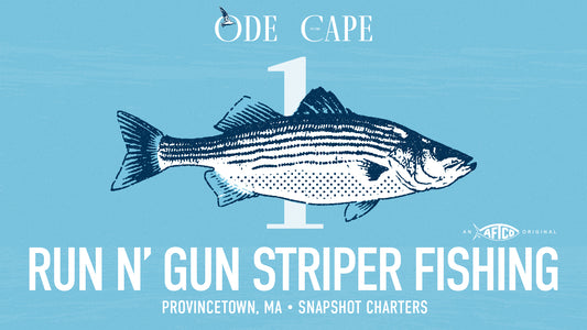 Ode to the Striped Bass Fishermen