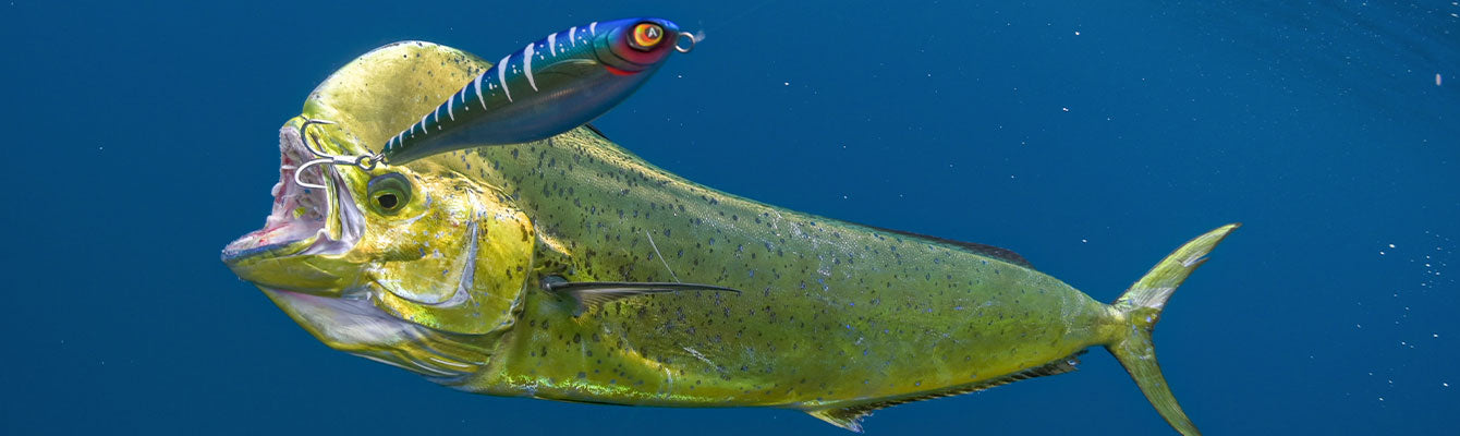 AFTCO Blue Fever Fishing Lures