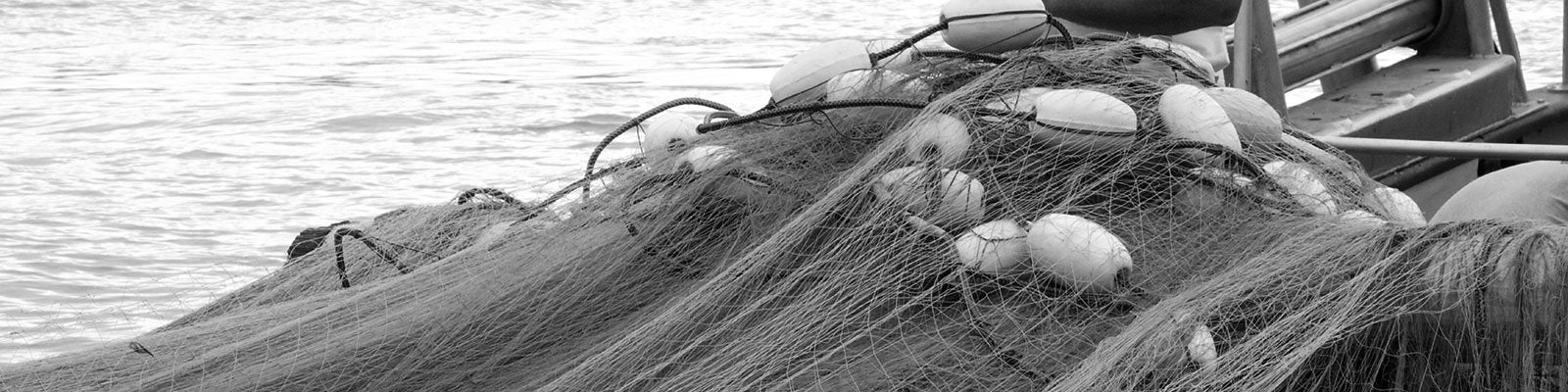 Removing the Gillnets – AFTCO