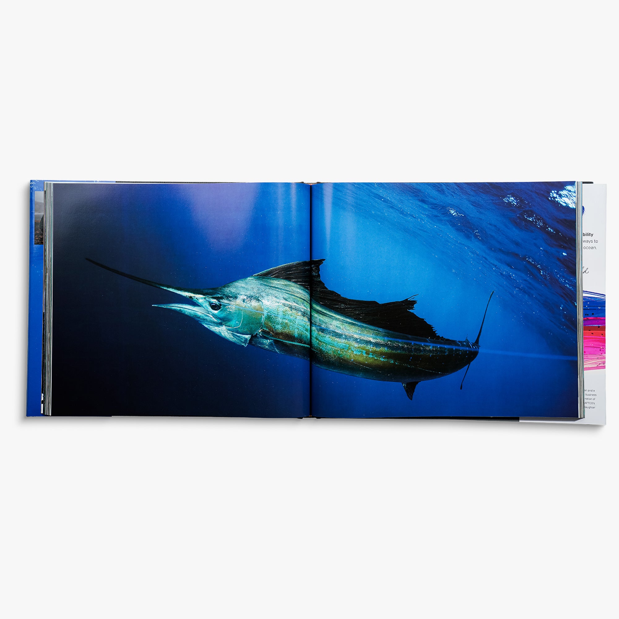 Any Fish, Any Water Book Photographed by Jason Arnold – AFTCO