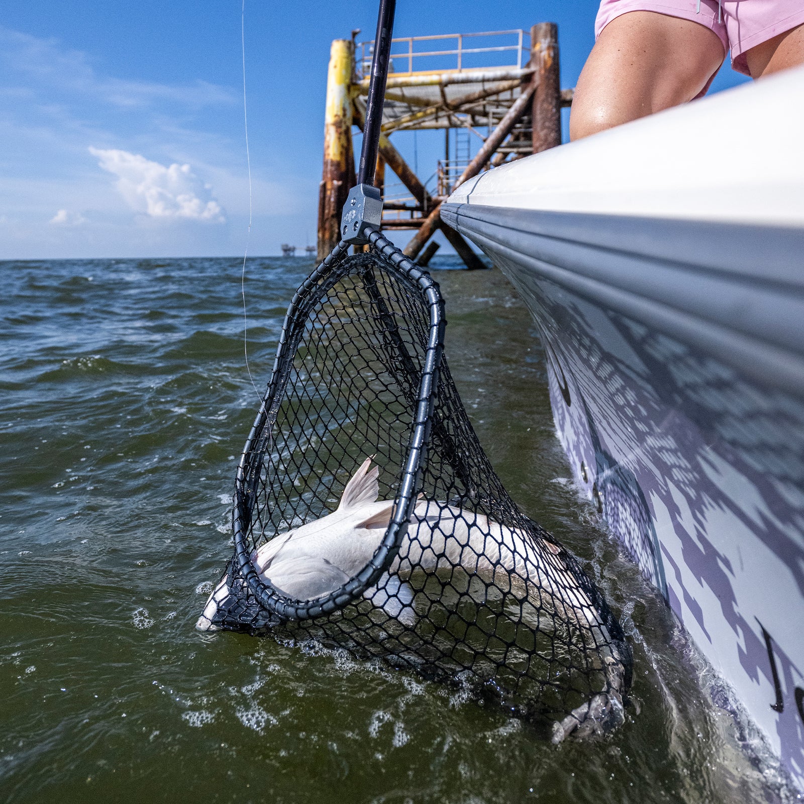 Titan Landing Net