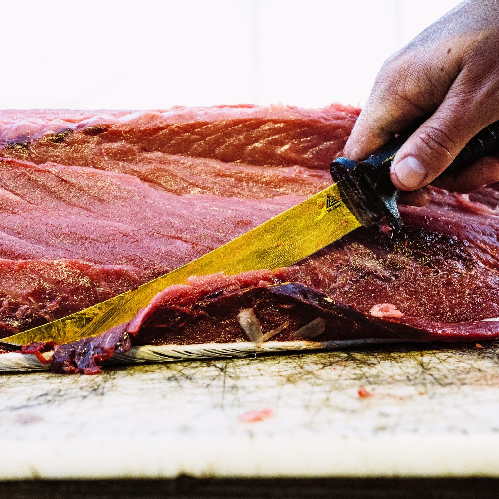 Fillet Knives – AFTCO