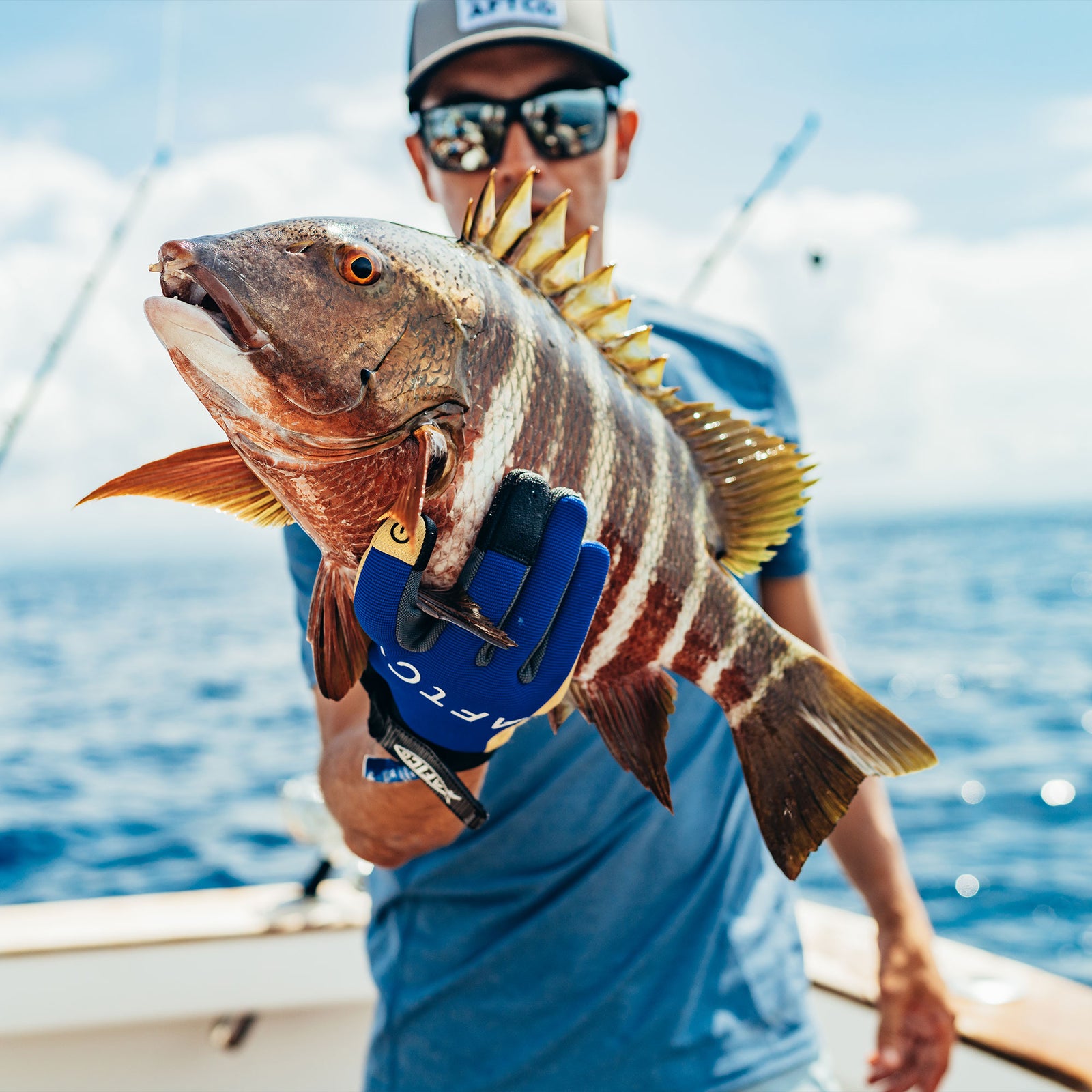 shimano curado 100 vs 200 Shimano Curado DC 200