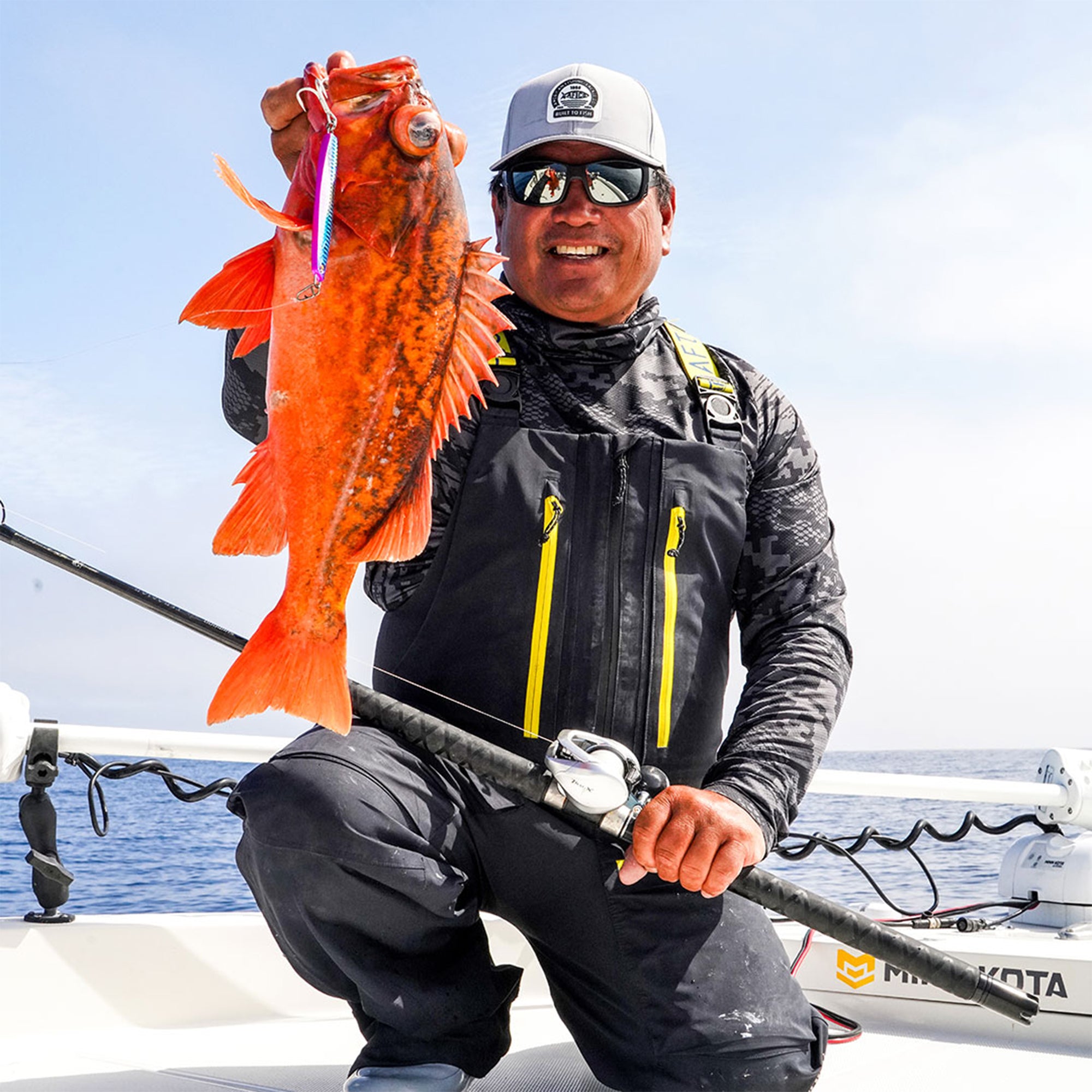 Blue Fever Crossbreed – AFTCO