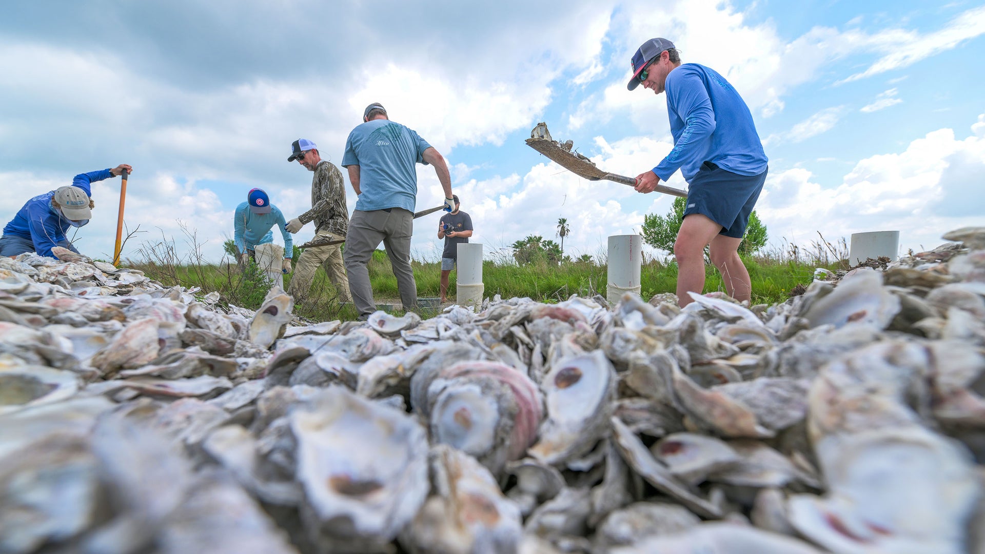 The Oyster Project: Rebuilding Reefs – AFTCO
