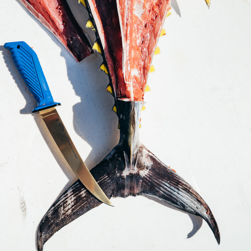 AFTCO Tips on Sharpening Your Fillet Knife – Mid-South Hunting & Fishing  News